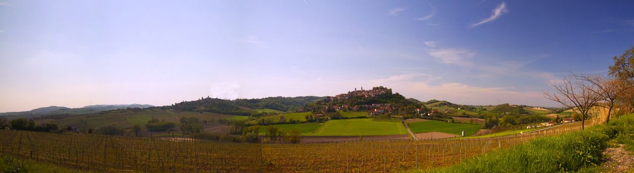 Big landscape of hills with vines