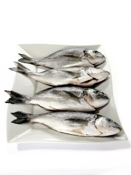 Four porgies with garnish on a white plate