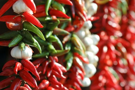 Spices hanging in rows