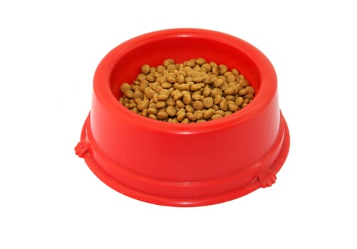 Pet food in a red bowl