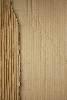 Ripped cardboard