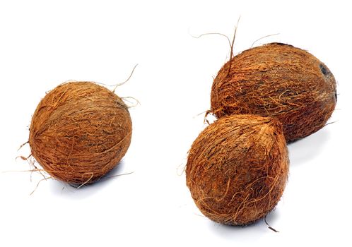 Three coconuts on a white background. Isolated. A close up.