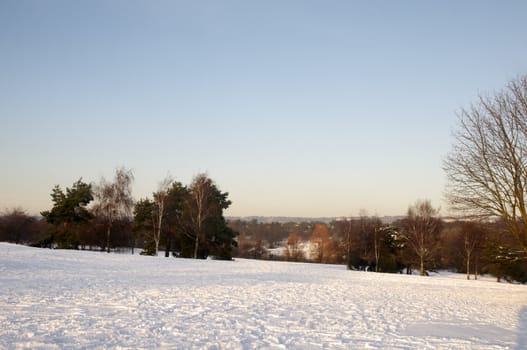 A path in a park covered in snow with trees in the background