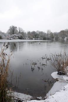 A view of a lake in winter with snow