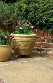 Two clay patio pots set on a stone based patio area. Spring flowers grow in the pots.