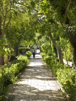 Lone woman taking a stroll on a path in a garden
