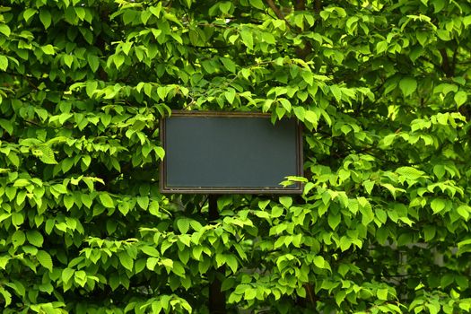 Billboard, label in green leaf background with place for your text