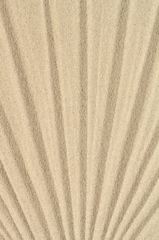 Abstract sand background with lines