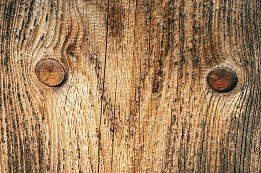 Detail of the wood texture with nobs - abstract