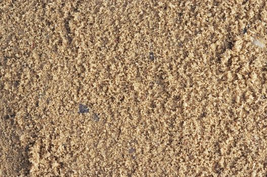 Detail of the sand - close-up, texture