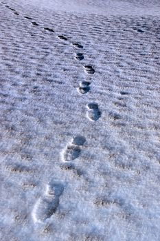 snow covered links golf course in ireland in winter with footprints