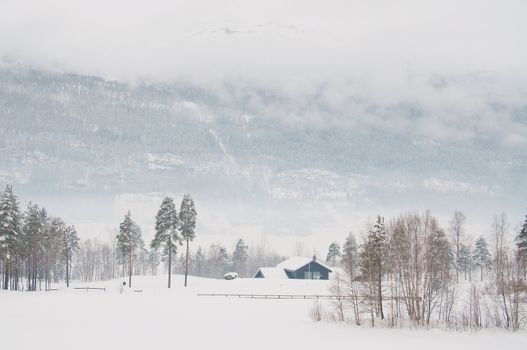 A small house in the mountains.  Winter, trees, snow and fog