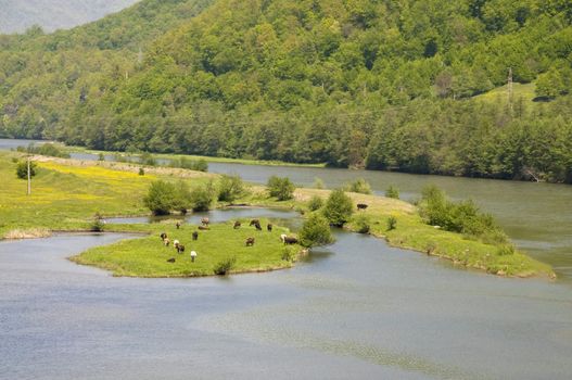 beautiful panorama in western romania