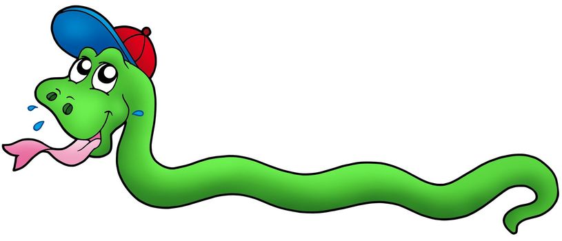 Cartoon snake with baseball cap - color illustration.