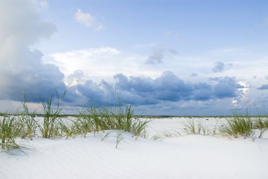 Sandy dunes with grass and blue skies