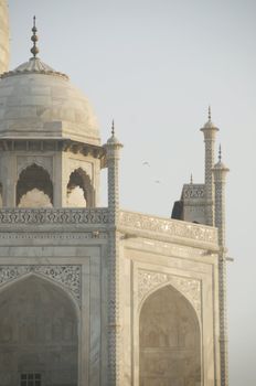 Close up view of the Taj Mahal mausoleum in Agra, India showing the ornate details of one of the corner domes.
