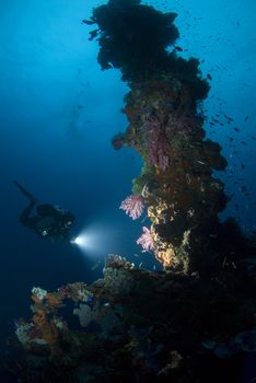 A Diver shines their light on the forward mast to show off the vibrant colors of the coral growth developed in the 60 years the Hoki Maru has rested on the bottom of Truk (Chuuk) Lagoon in Micronesia, a casualty of theWorld War II Operation Hailstone, February 1944.