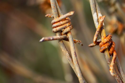 Barbed wire 