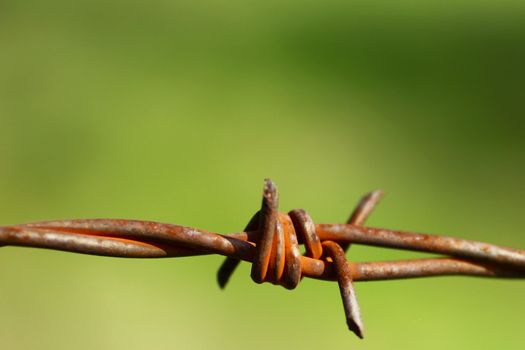 Barbed wire 