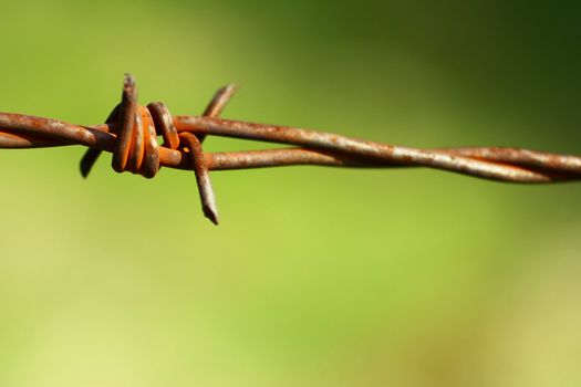 Barbed wire 