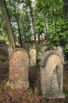 Jewish cemetery at Kolin - one of the oldest landmarks of that kind in Bohemia. The beginning of the cemetery dates back to the 15th century. The oldest tombstones are from 1492. There are over 2600 tombstones on the cemetery. For example: tombstone of Becalel, son of Jehuda Low (1599). Kolin, Czech republic, Europe, EU.