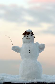 Shot of the small snow man