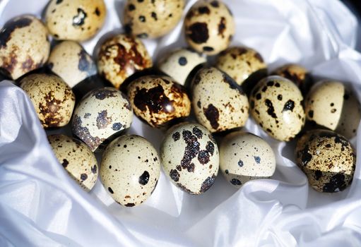many quail eggs