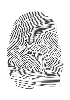 Illustration of a detailed fingerprint
