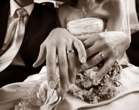 Hand of the groom and the bride with wedding rings