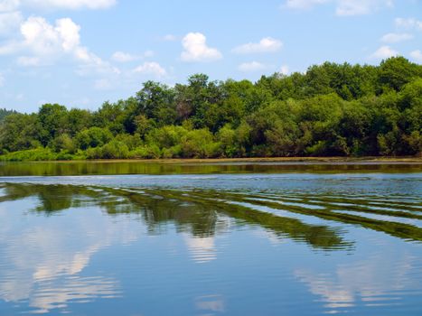 river, forest and sky sunny day