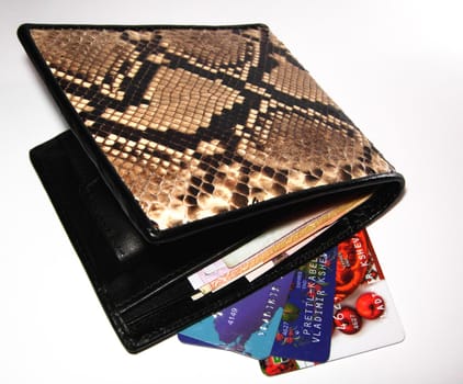 Purse and credit cards on a white background