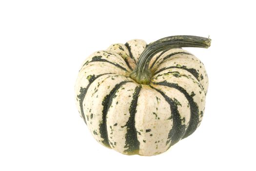 single pumpkin on white background