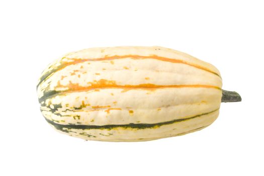 single pumpkin on white background