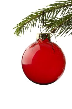 red christmas tree ball hanging from spruce leaf