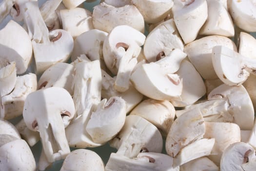 champignon on white background