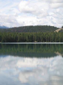 lake and forest view
