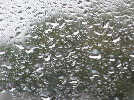 rain drops in a window