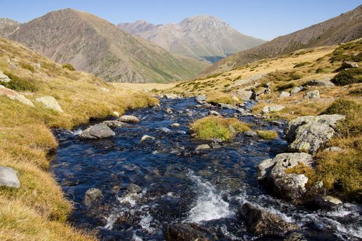 Rapid mountain brook in National Park Aiguestortes - Spain. Landscape mountain view.