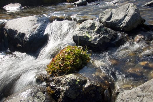 Rapid mountain brook in National Park Aiguestortes - Spain.