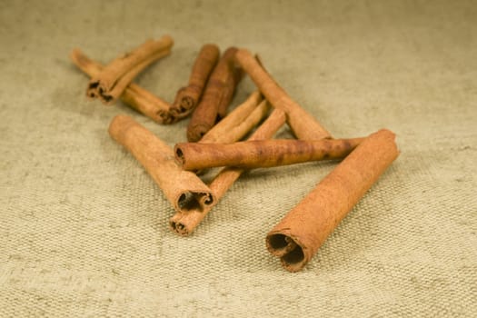Cinnamon sticks on burlap
