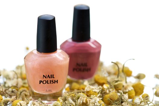 Two small bottles of nailpolish with camomille flowers