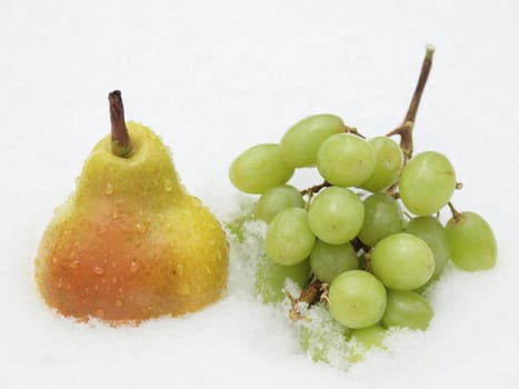 Green grapes and yellow pear on a snow        