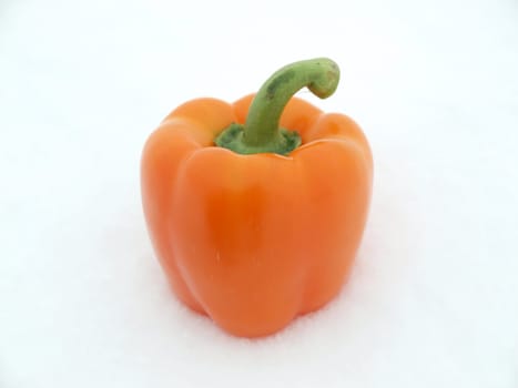 Orange pepper on a snow     