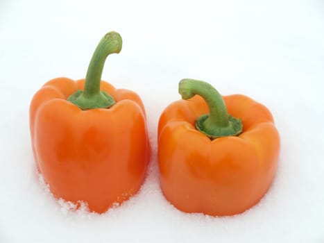 Two orange peppers on the snow   