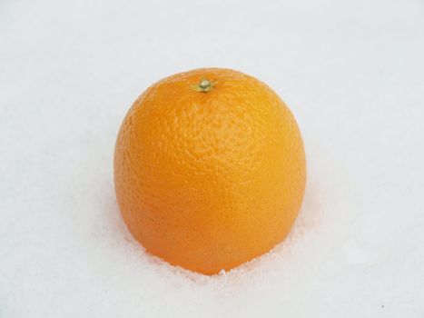 Orange on a snow      