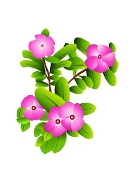 blooming flowers in plant on white background
