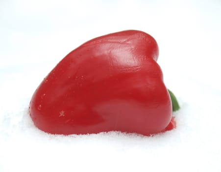 Red pepper on a snow. Winter. Russia       