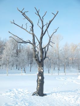 Sculpture on quay of Onega in Petrozavodsk, Russia         