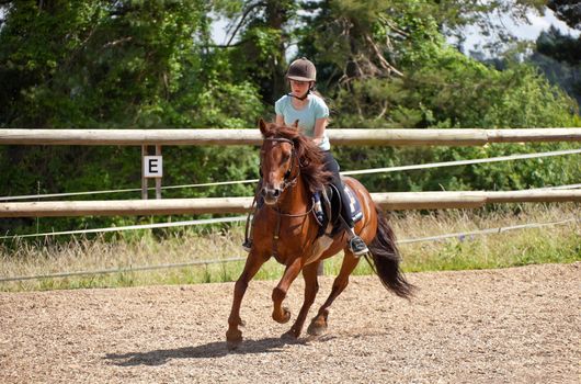 This image shows a portrait from a riding girl