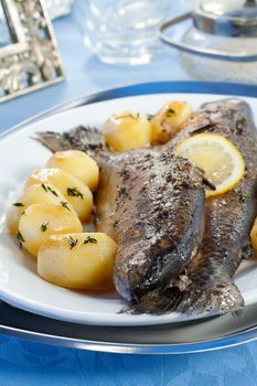 Baked trout with potatoes and lemon on plate